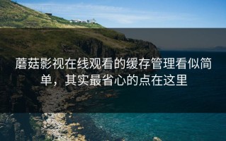 蘑菇影视在线观看的缓存管理看似简单，其实最省心的点在这里