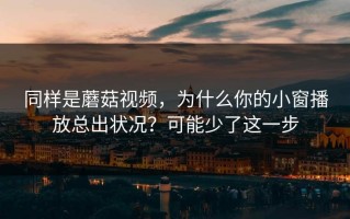 同样是蘑菇视频，为什么你的小窗播放总出状况？可能少了这一步