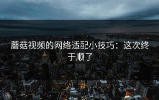 蘑菇视频的网络适配小技巧：这次终于顺了