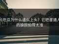 91吃瓜为什么这么上头？它把普通人的狼狈拍得太准