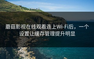 蘑菇影视在线观看连上Wi‑Fi后，一个设置让缓存管理提升明显