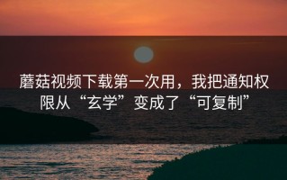 蘑菇视频下载第一次用，我把通知权限从“玄学”变成了“可复制”