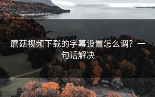 蘑菇视频下载的字幕设置怎么调？一句话解决