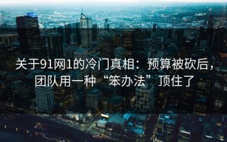 关于91网1的冷门真相：预算被砍后，团队用一种“笨办法”顶住了