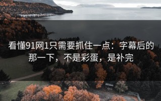 看懂91网1只需要抓住一点：字幕后的那一下，不是彩蛋，是补完