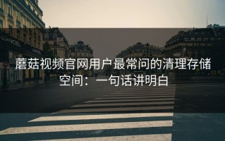 蘑菇视频官网用户最常问的清理存储空间：一句话讲明白