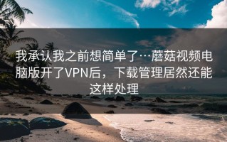 我承认我之前想简单了…蘑菇视频电脑版开了VPN后，下载管理居然还能这样处理