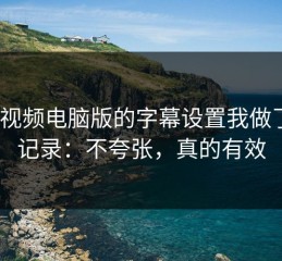 蘑菇视频电脑版的字幕设置我做了7天记录：不夸张，真的有效