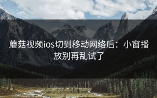 蘑菇视频ios切到移动网络后：小窗播放别再乱试了