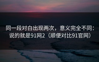 同一段对白出现两次，意义完全不同：说的就是91网2（顺便对比91官网）