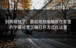 别再瞎找了：蘑菇视频电脑版在家里的字幕设置正确打开方式在这里