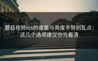 蘑菇视频ios的音量与亮度手势别乱点：这几个选项建议你先看清
