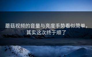 蘑菇视频的音量与亮度手势看似简单，其实这次终于顺了