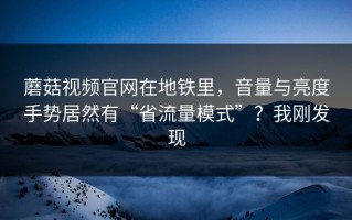 蘑菇视频官网在地铁里，音量与亮度手势居然有“省流量模式”？我刚发现