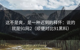 这不是爽，是一种迟到的释怀：说的就是91网2（顺便对比91黑料）