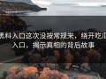 黑料入口这次没按常规来，绕开吃瓜入口，揭示真相的背后故事