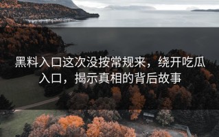 黑料入口这次没按常规来，绕开吃瓜入口，揭示真相的背后故事