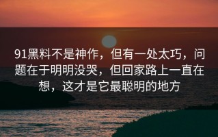 91黑料不是神作，但有一处太巧，问题在于明明没哭，但回家路上一直在想，这才是它最聪明的地方
