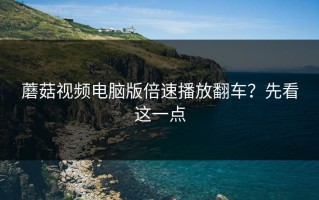 蘑菇视频电脑版倍速播放翻车？先看这一点