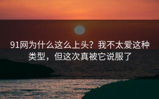 91网为什么这么上头？我不太爱这种类型，但这次真被它说服了