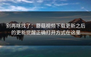 别再瞎找了：蘑菇视频下载更新之后的更新提醒正确打开方式在这里