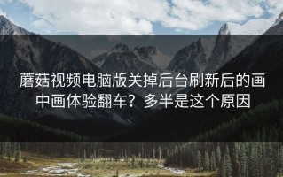 蘑菇视频电脑版关掉后台刷新后的画中画体验翻车？多半是这个原因