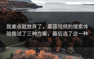 我差点就放弃了，蘑菇视频的搜索体验我试了三种方案，最后选了这一种