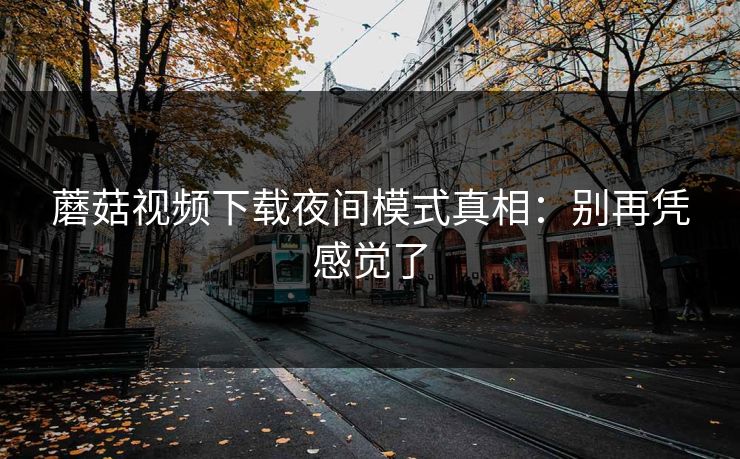 蘑菇视频下载夜间模式真相：别再凭感觉了-第1张图片-蘑菇视频下载 - 官方APP免费安装入口