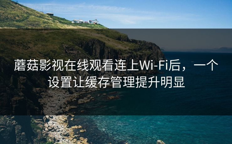 蘑菇影视在线观看连上Wi‑Fi后，一个设置让缓存管理提升明显-第1张图片-蘑菇视频下载 - 官方APP免费安装入口