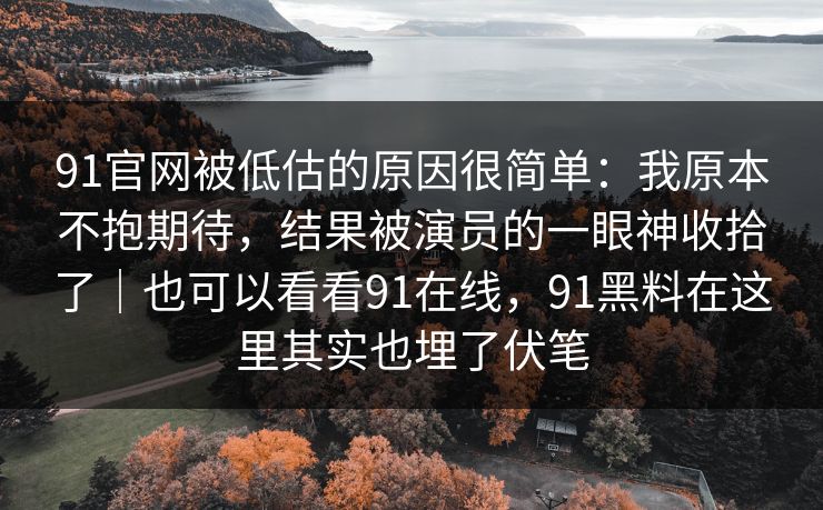 91官网被低估的原因很简单：我原本不抱期待，结果被演员的一眼神收拾了｜也可以看看91在线，91黑料在这里其实也埋了伏笔