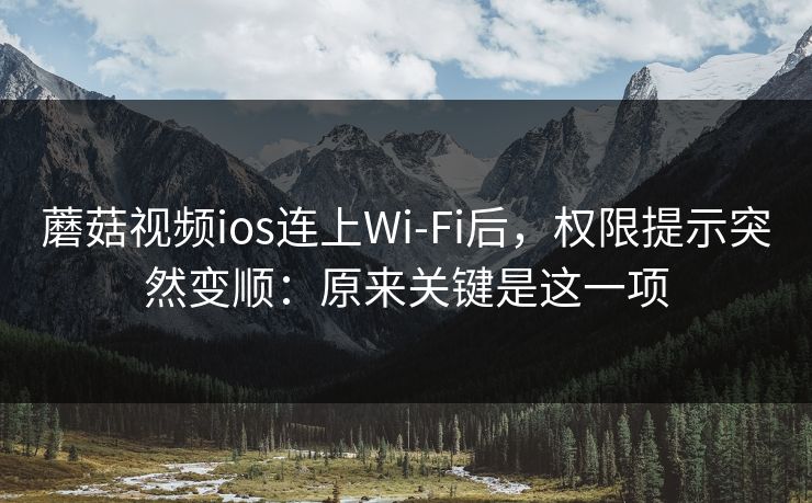 蘑菇视频ios连上Wi‑Fi后，权限提示突然变顺：原来关键是这一项
