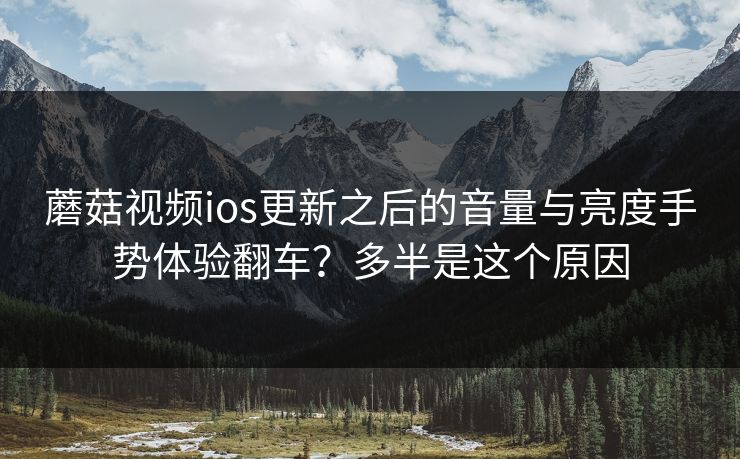 蘑菇视频ios更新之后的音量与亮度手势体验翻车？多半是这个原因-第1张图片-蘑菇视频下载 - 官方APP免费安装入口