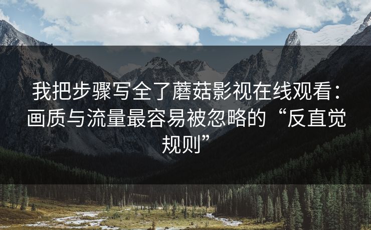 我把步骤写全了蘑菇影视在线观看:画质与流量最容易被忽略的“反直觉规则” 我把步骤写全了蘑菇影视在线观看:画质与流量最容易被忽略的“反直觉规则”