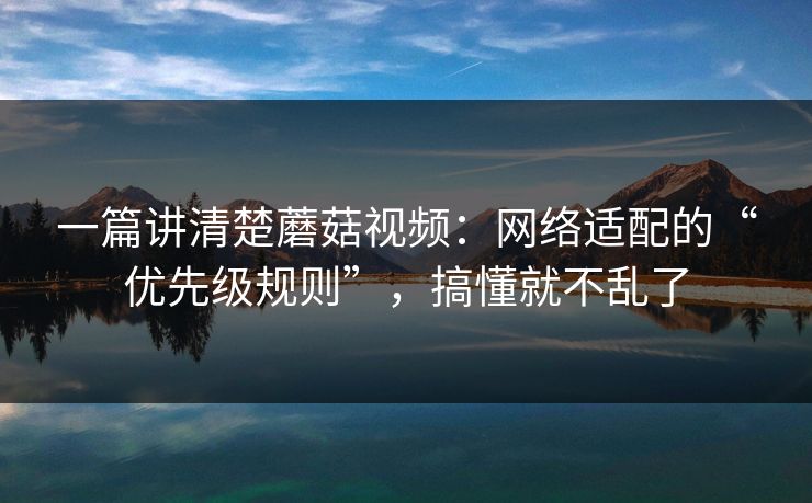 一篇讲清楚蘑菇视频：网络适配的“优先级规则”，搞懂就不乱了-第1张图片-蘑菇视频下载 - 官方APP免费安装入口